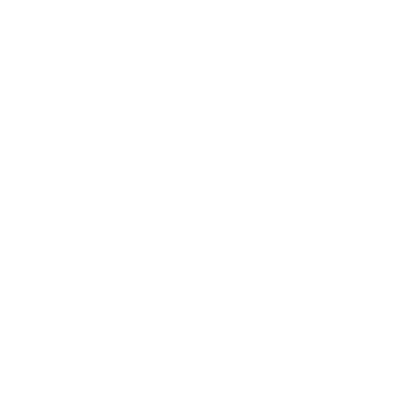 Reflejos Records Logo